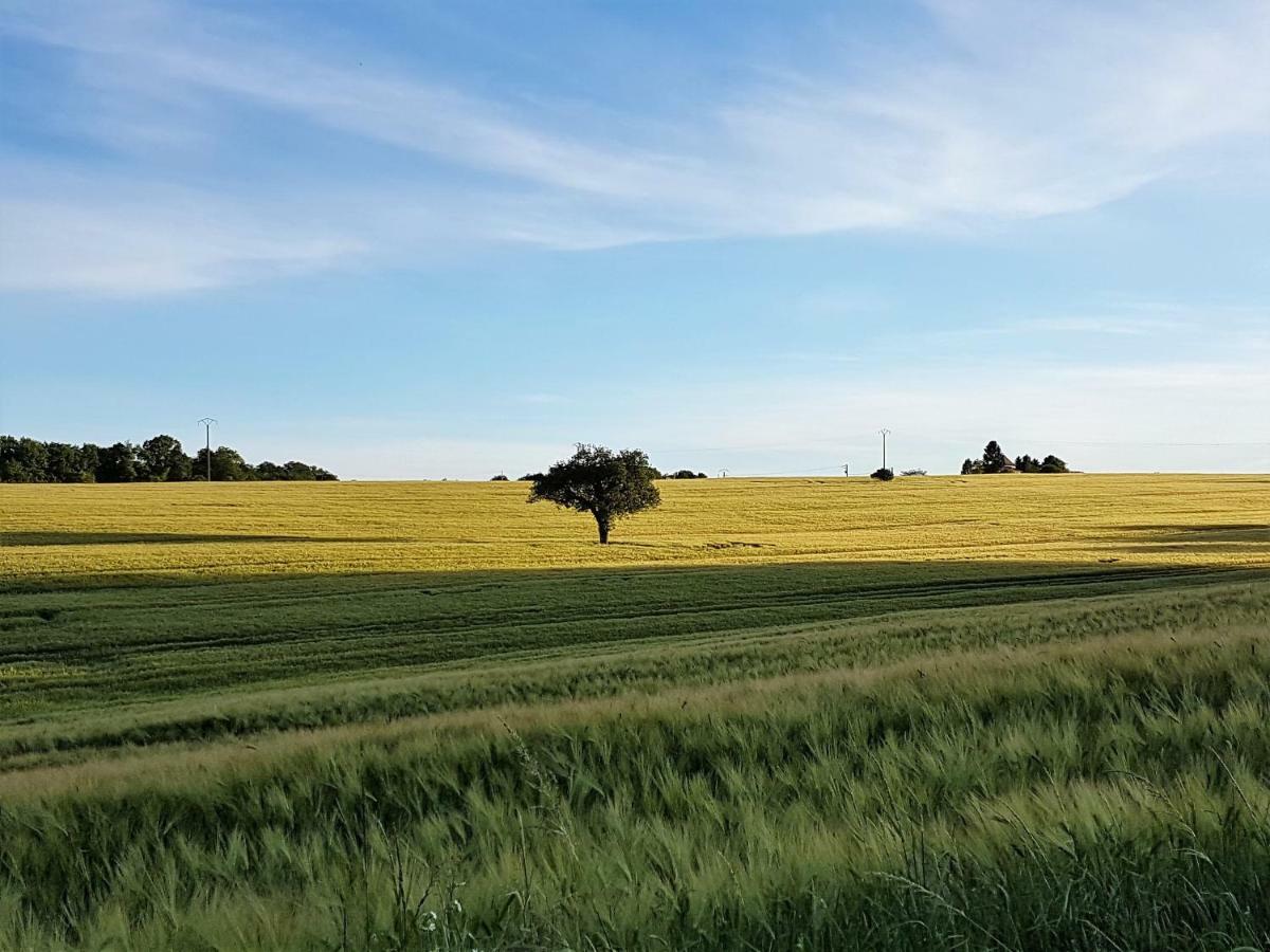 فيلا Langlade Estate Montboyer المظهر الخارجي الصورة
